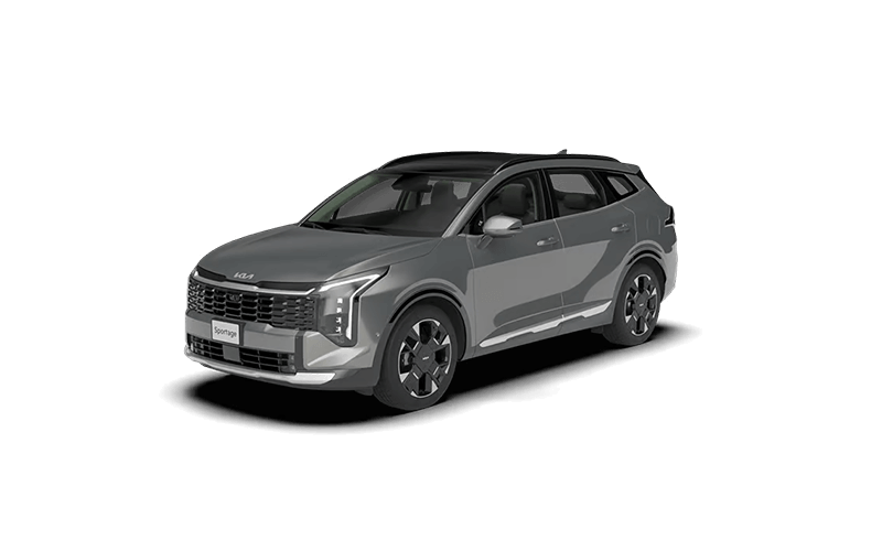 Steel Gray