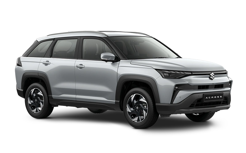 Plata Metalico
